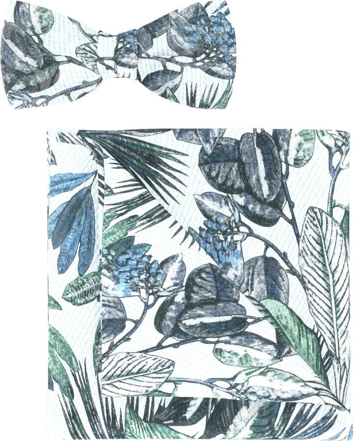 OLYMP Vlinderdasje (set)