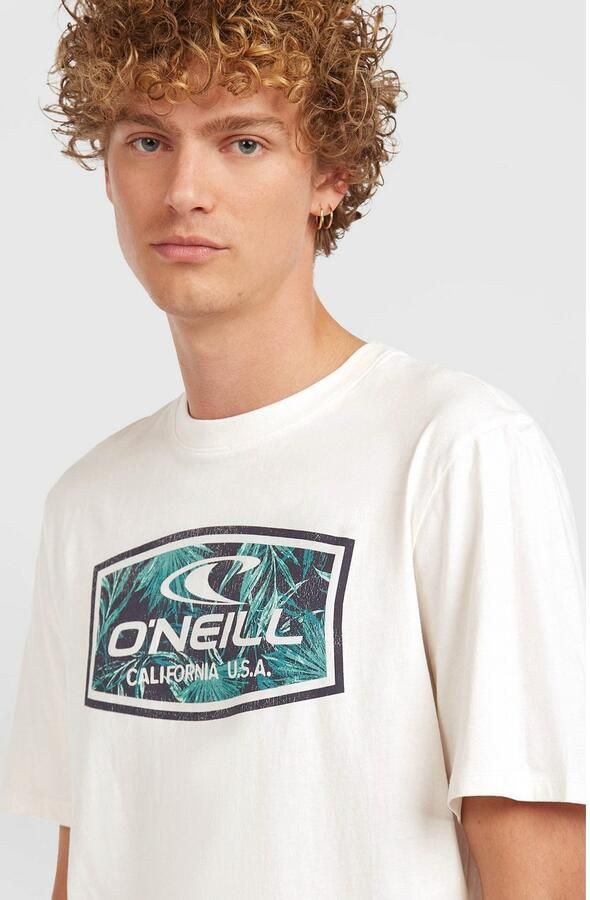 O'Neill T-shirt GRAPHIC T-SHIRT (1-delig) - Foto 2
