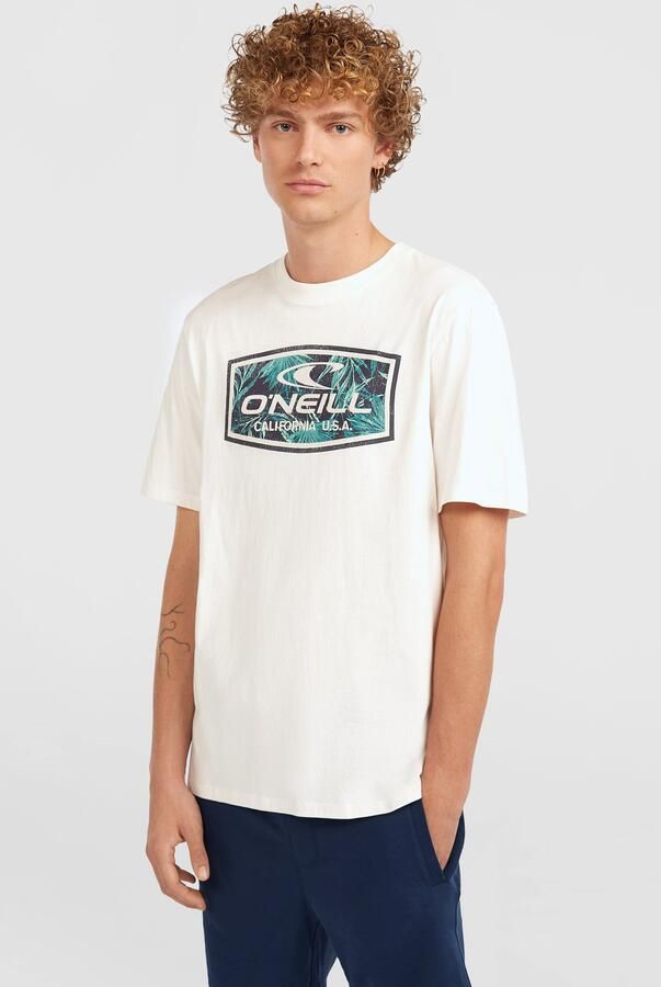 O'Neill T-shirt GRAPHIC T-SHIRT (1-delig)