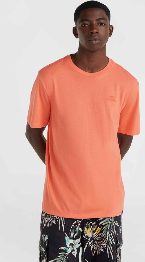 O'Neill T-shirt SMALL LOGO T-SHIRT - Foto 5