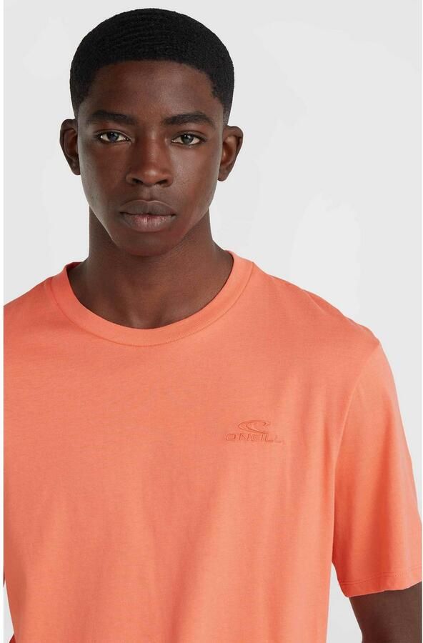 O'Neill T-shirt SMALL LOGO T-SHIRT