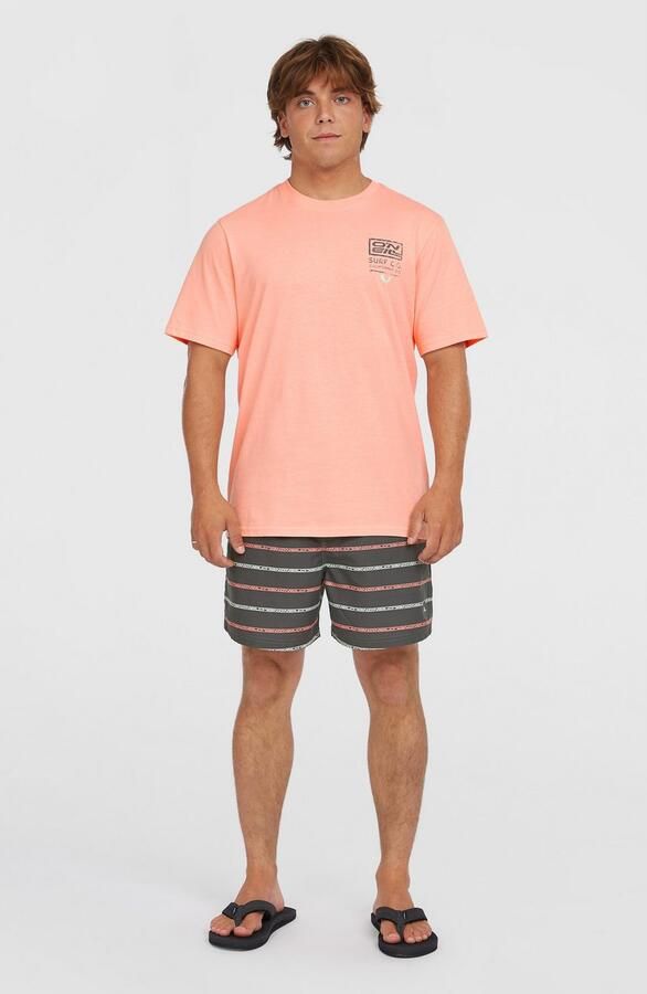 O'Neill Zwembroek CALI FIRST 15'' SWIMSHORTS - Foto 5