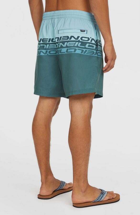 O'Neill Zwembroek CALI STRIPE 16'' SWIMSHORTS - Foto 5