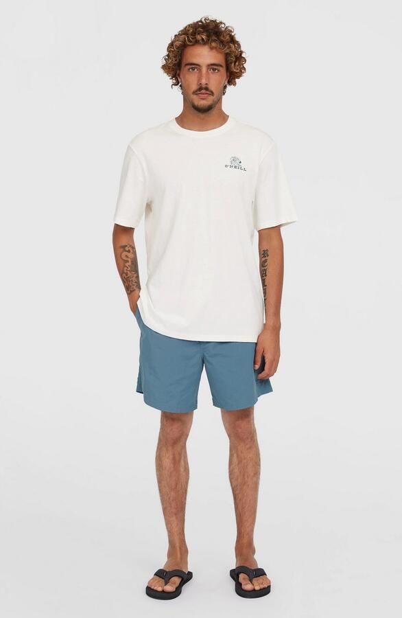 O'Neill Zwembroek VERT 16'' SWIMSHORTS - Foto 7