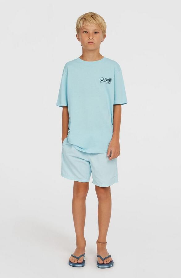 O'Neill Zwemshort VERT 14 SWIMSHORTS - Foto 4