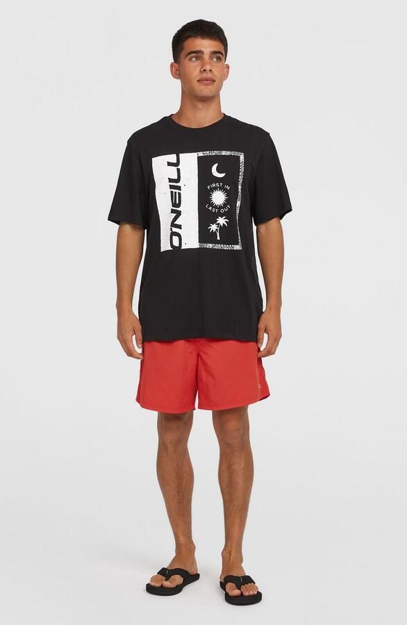 O'Neill Zwemshort VERT 16'' SWIMSHORTS - Foto 4