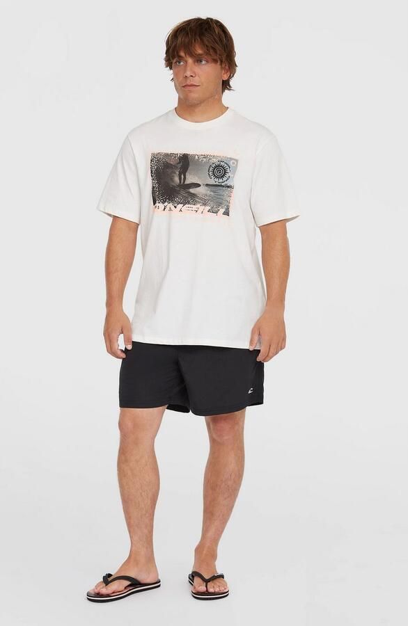 O'Neill Zwemshort VERT 16'' SWIMSHORTS - Foto 5