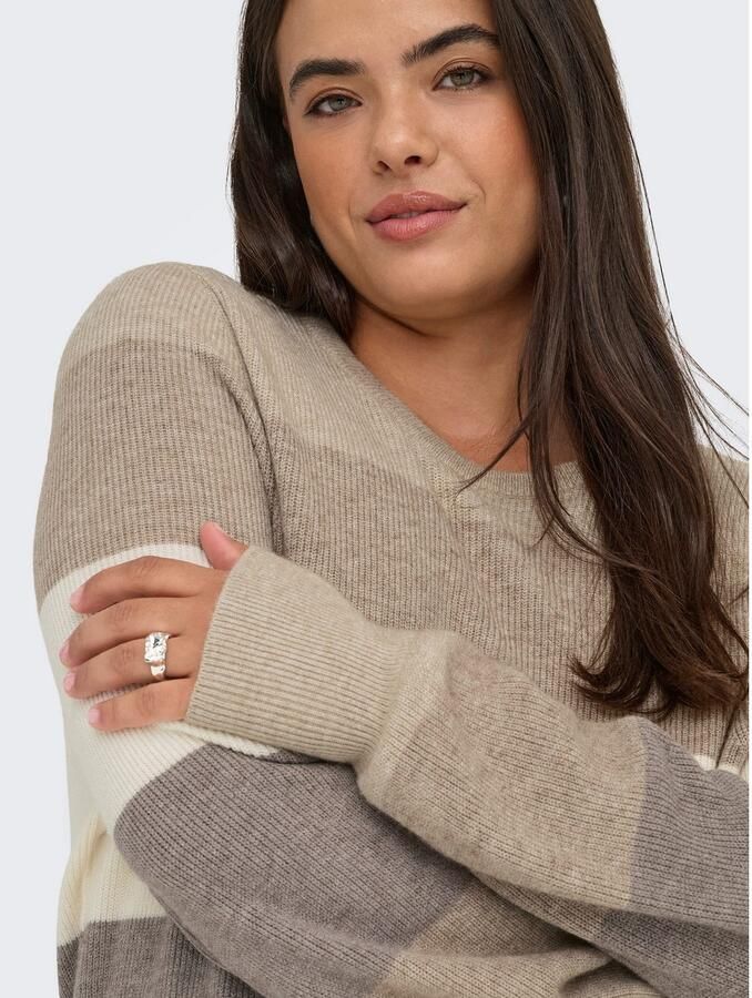 ONLY CARMAKOMA Gebreide trui CARNEW DARIA L S STRIPE PULLOVER KNT - Foto 2