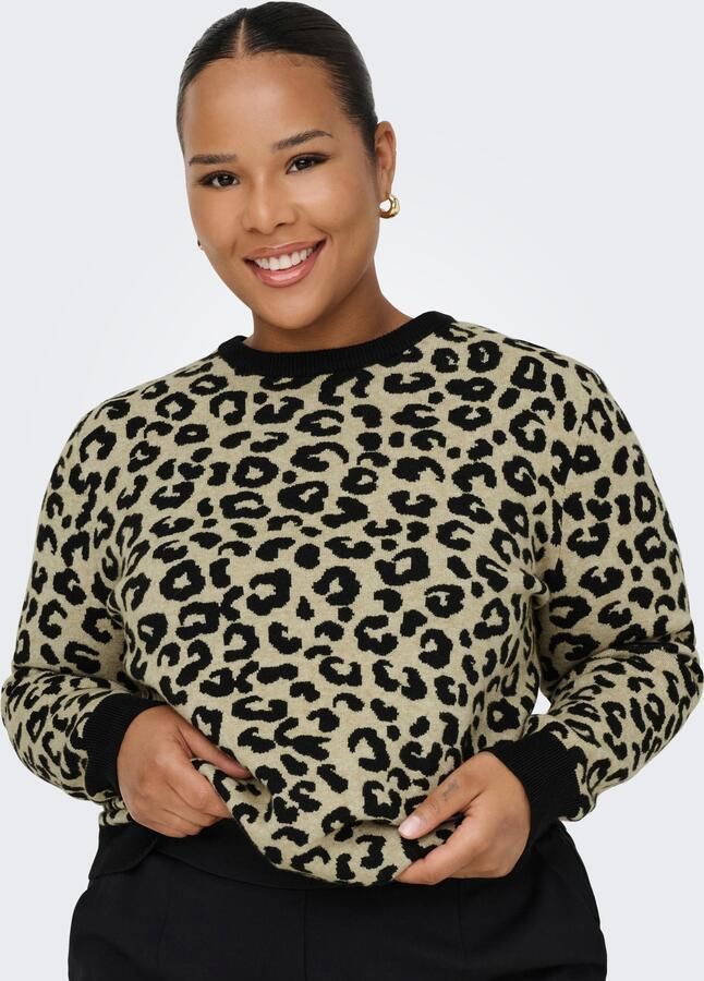 ONLY CARMAKOMA Trui met ronde hals CARIBI JQ LS O-NECK KNT - Foto 7