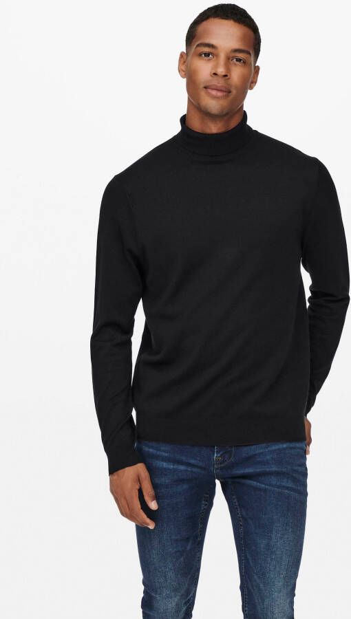 ONLY & SONS Coltrui ONSWYLER LIFE REG ROLL NECK KNIT NOOS