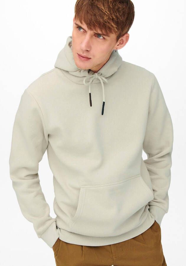 Only & Sons Sweater Only & Sons ONSCERES HOODIE SWEAT