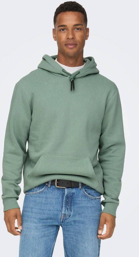ONLY & SONS Hoodie CERES LIFE HOODIE SWEAT
