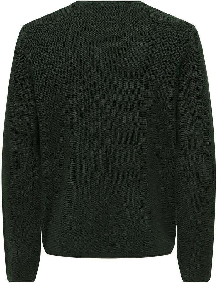 ONLY & SONS Gebreide trui ONSERIC REG 12 STRUC CREW KNIT