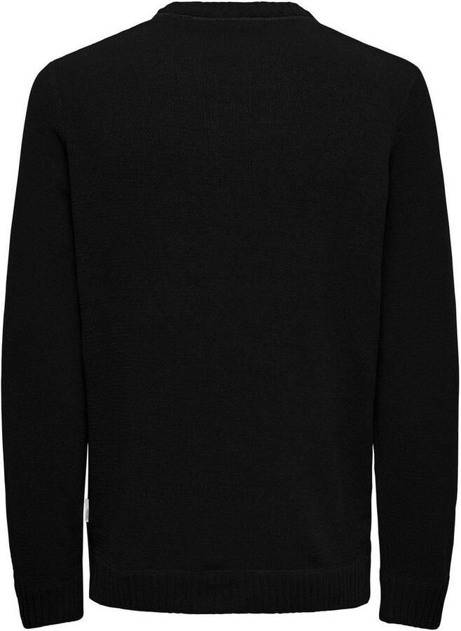 Only & Sons Regular fit gebreide pullover met ronde hals model 'ETHAN'