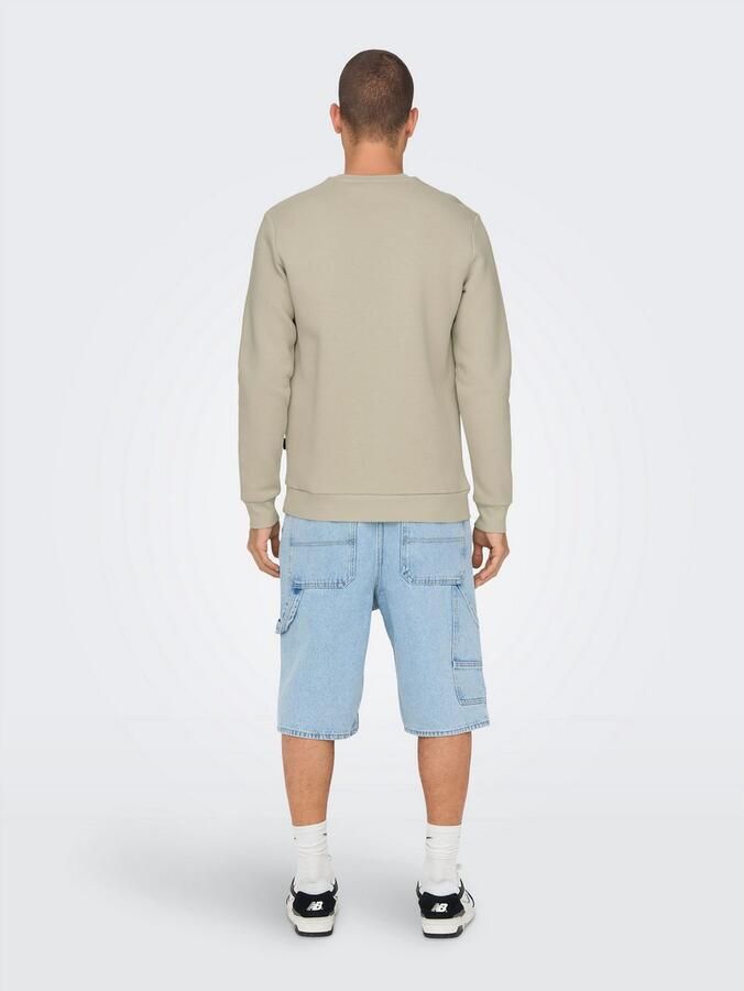 ONLY & SONS Sweatshirt ONSCERES CREW NECK NOOS - Foto 6