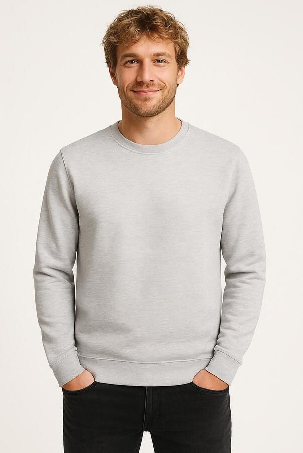 ONLY & SONS Sweatshirt ONSCHASE REG CREW SWEAT OTL