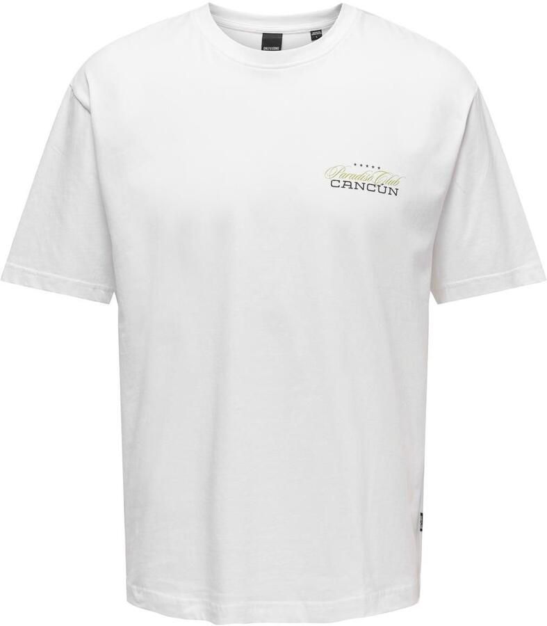 ONLY & SONS T-shirt ONSKEANE RLX SS PRINT TEE NOOS - Foto 2