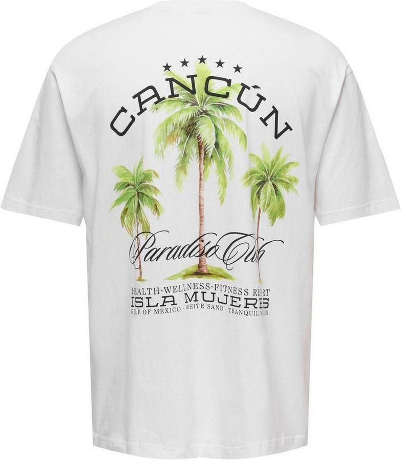 ONLY & SONS T-shirt ONSKEANE RLX SS PRINT TEE NOOS