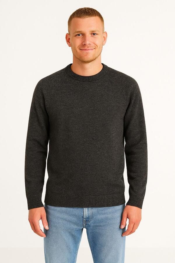 ONLY & SONS Trui met ronde hals ONSTHOMAS REG CREW NECK KNIT OTL - Foto 2