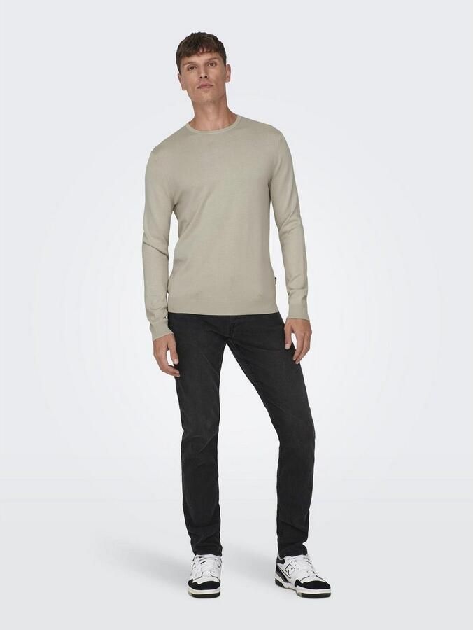 ONLY & SONS Trui met ronde hals ONSWYLER LIFE REG 14 LS CREW KNIT NOOS - Foto 3