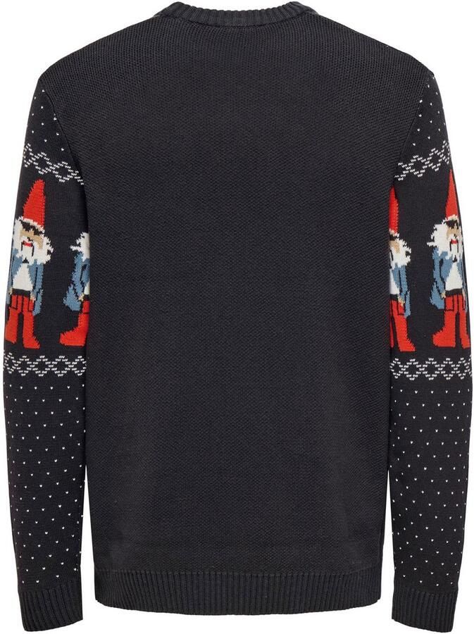 ONLY & SONS Trui met ronde hals ONSX-MAX REG CREW KNIT - Foto 5