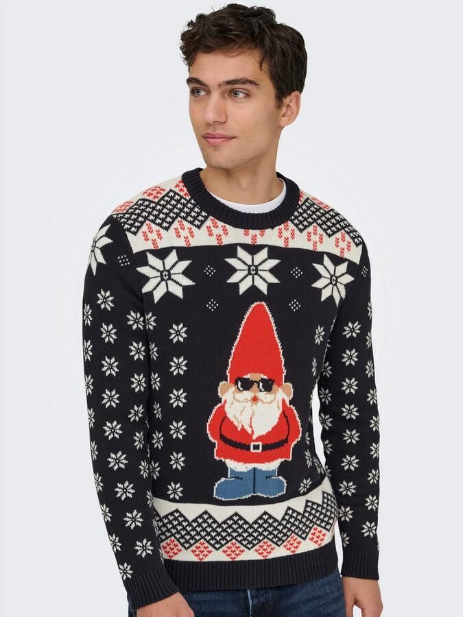 ONLY & SONS Trui met ronde hals ONSX-MAX REG CREW KNIT - Foto 5