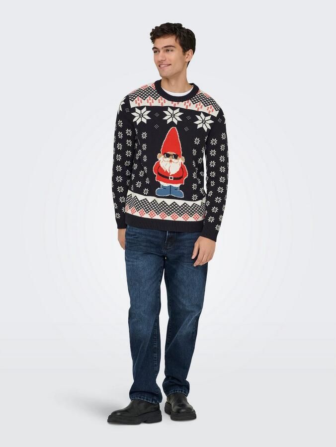 ONLY & SONS Trui met ronde hals ONSX-MAX REG CREW KNIT - Foto 3