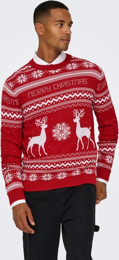 ONLY & SONS Trui met ronde hals ONSXMAS REG 5 JAQ CREW KNIT - Foto 7