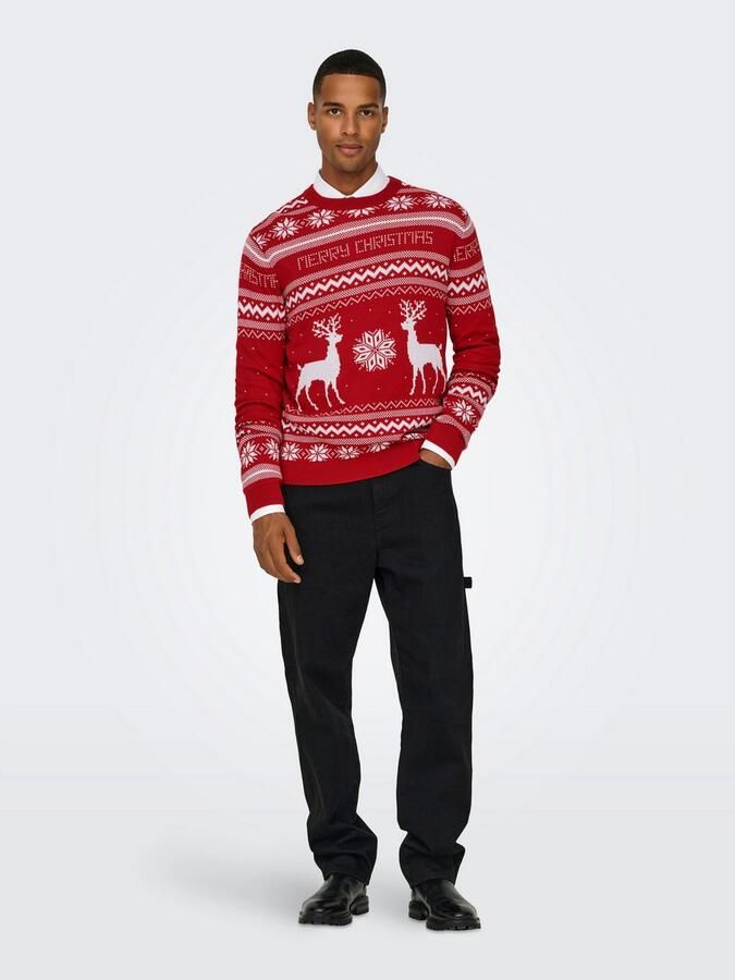 ONLY & SONS Trui met ronde hals ONSXMAS REG 5 JAQ CREW KNIT - Foto 4