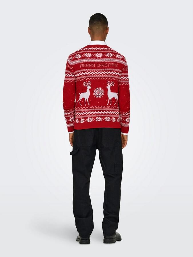 ONLY & SONS Trui met ronde hals ONSXMAS REG 5 JAQ CREW KNIT - Foto 5
