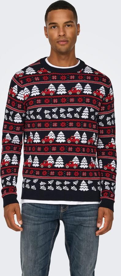 ONLY & SONS Trui met ronde hals ONSXMAS REG 5 JAQ CREW KNIT - Foto 5