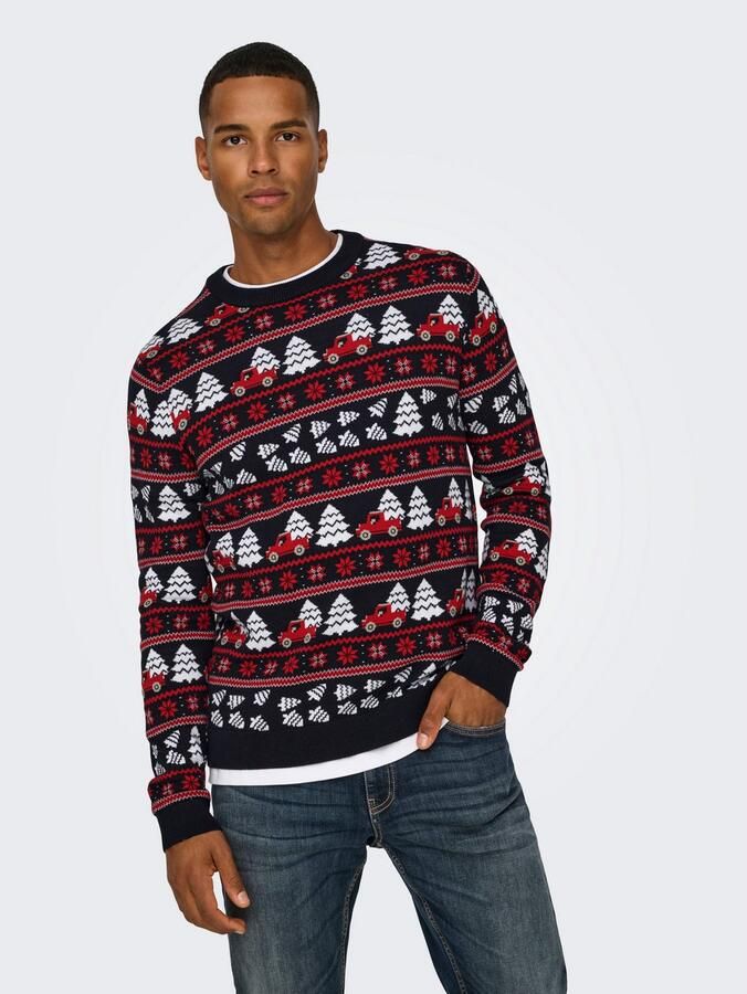 ONLY & SONS Trui met ronde hals ONSXMAS REG 5 JAQ CREW KNIT - Foto 2