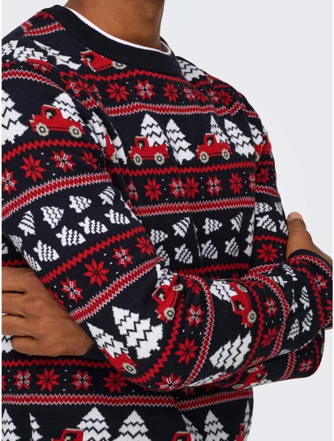 ONLY & SONS Trui met ronde hals ONSXMAS REG 5 JAQ CREW KNIT
