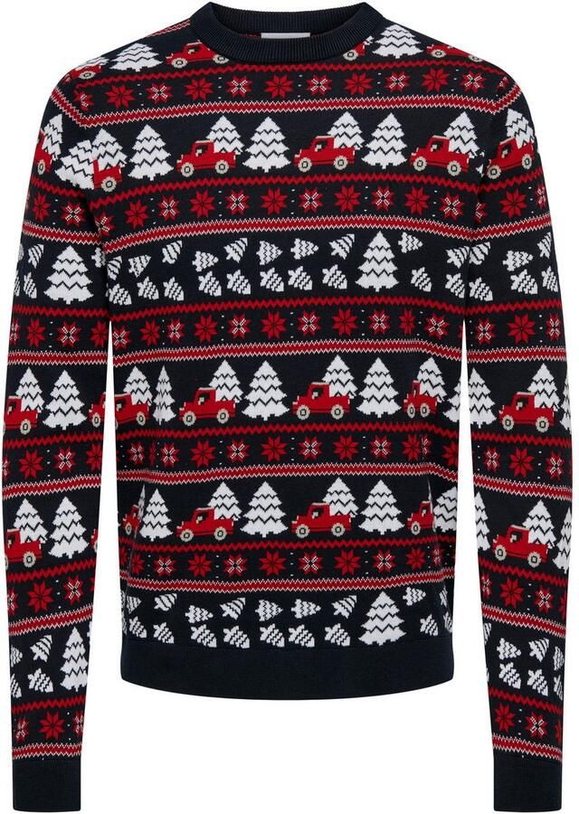 ONLY & SONS Trui met ronde hals ONSXMAS REG 5 JAQ CREW KNIT - Foto 4