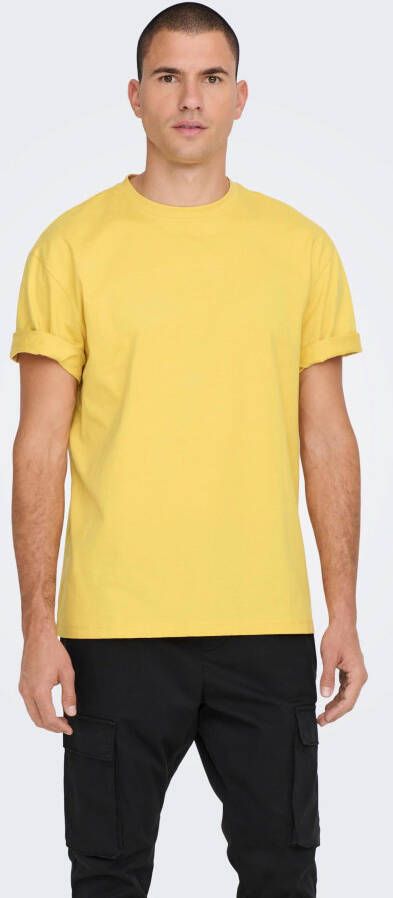 ONLY & SONS T-shirt Fred
