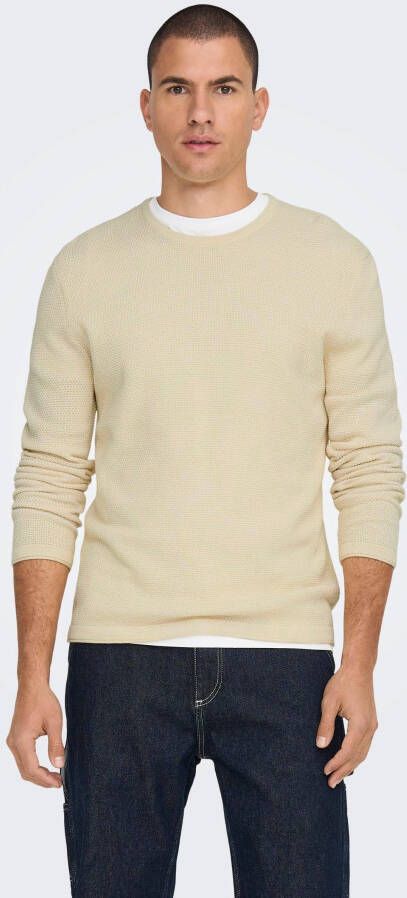 ONLY & SONS Trui met ronde hals PANTER 12 STRUC CREW NECK KNIT