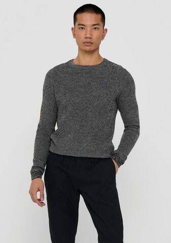 ONLY & SONS Trui met ronde hals Pullover Dennis