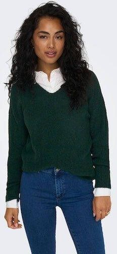 Only Trui met V-hals ONLCAMILLA V-NECK L S PULLOVER KNT NOOS