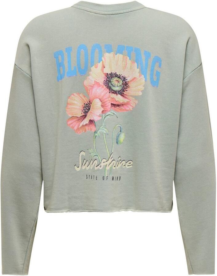 Only Sweatshirt ONLLUCINDA L S FLOWERS O-NECK UB SWT