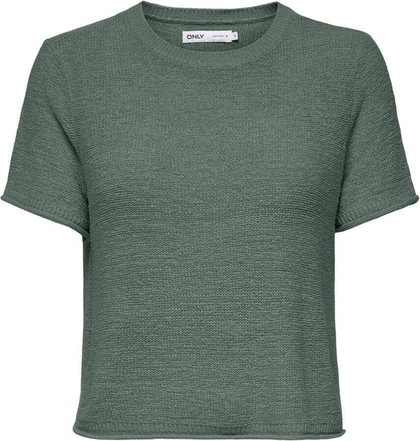 Only Trui met korte mouwen ONLSUNNY S S PULLOVER NOOS KNT