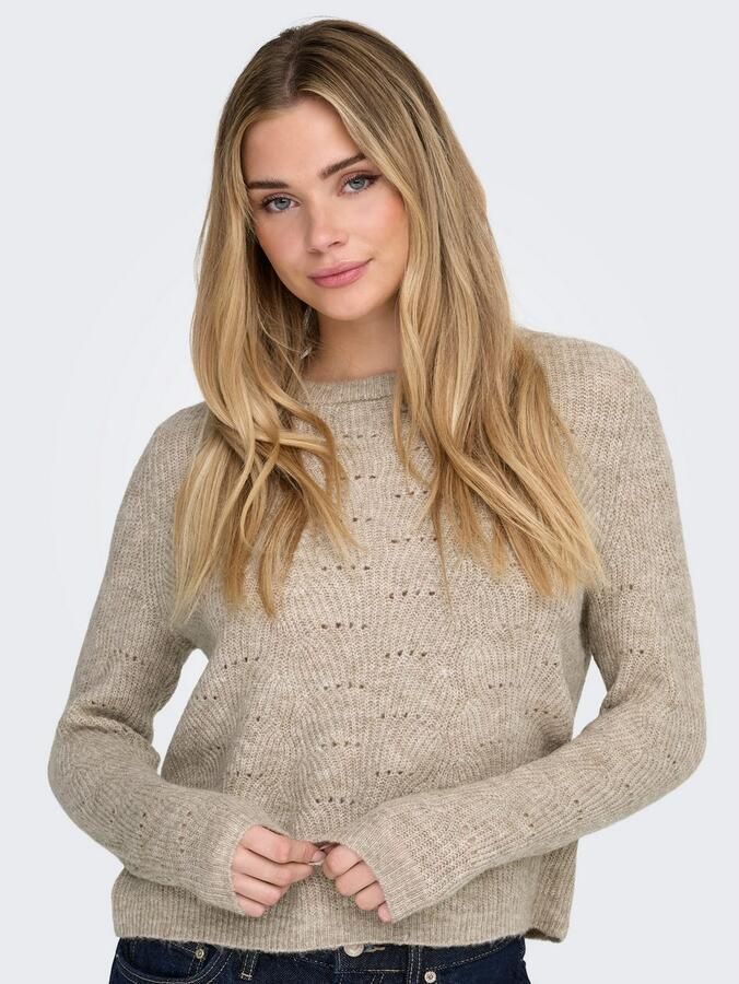 Only Trui met ronde hals ONLLOLLI L S PULLOVER KNT NOOS - Foto 11