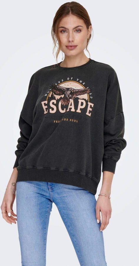 Only Sweatshirt ONLLUCINDA L S EAGLE FOIL BOX SWT