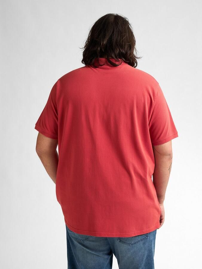 Petrol Industries Poloshirt met geborduurd logo - Foto 4