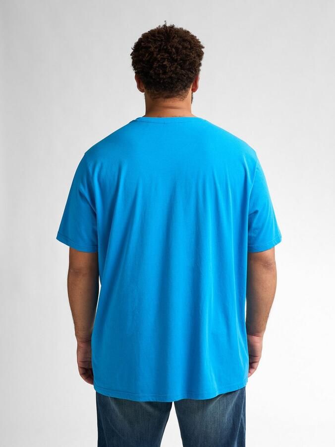 Petrol Industries Shirt met ronde hals met geborduurd logo - Foto 5