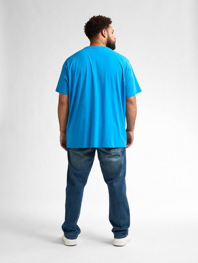 Petrol Industries Shirt met ronde hals met geborduurd logo - Foto 7