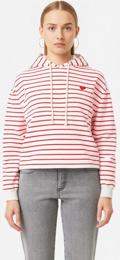 Pieces Hoodie PCCHILLI LS HOODIE STRIPES EMB NOOS BC - Foto 2