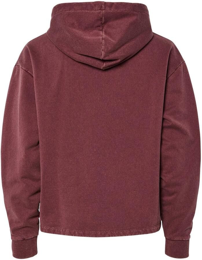 Pieces Hoodie PCCHILLI LS WASHED SWEAT HOODIE NOOS BC