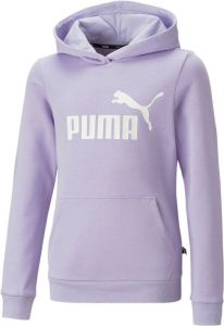 Puma Essentials Logo Hoodie Junior
