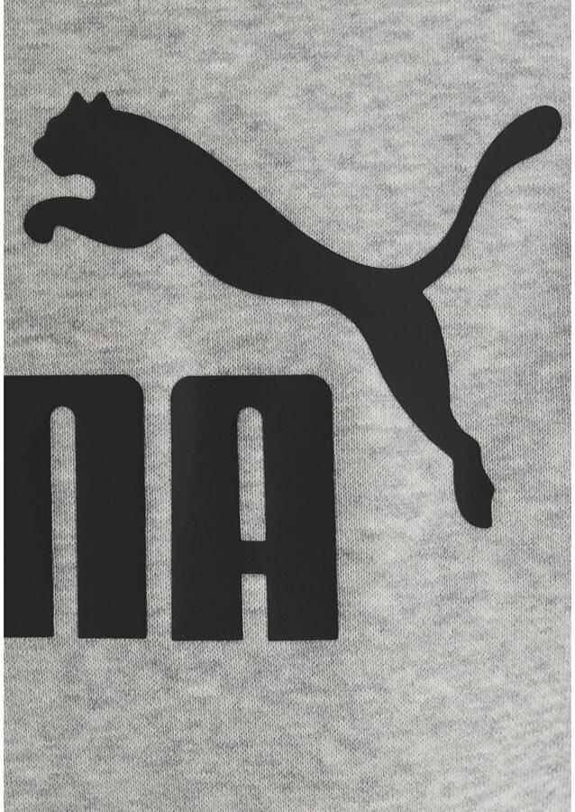 Puma Essentials Grijs Trui Dames