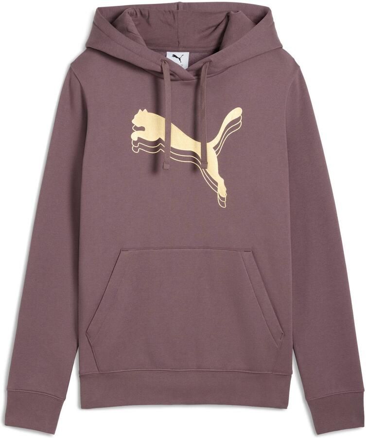 PUMA Hoodie ESS METALLIC HOODIE FL